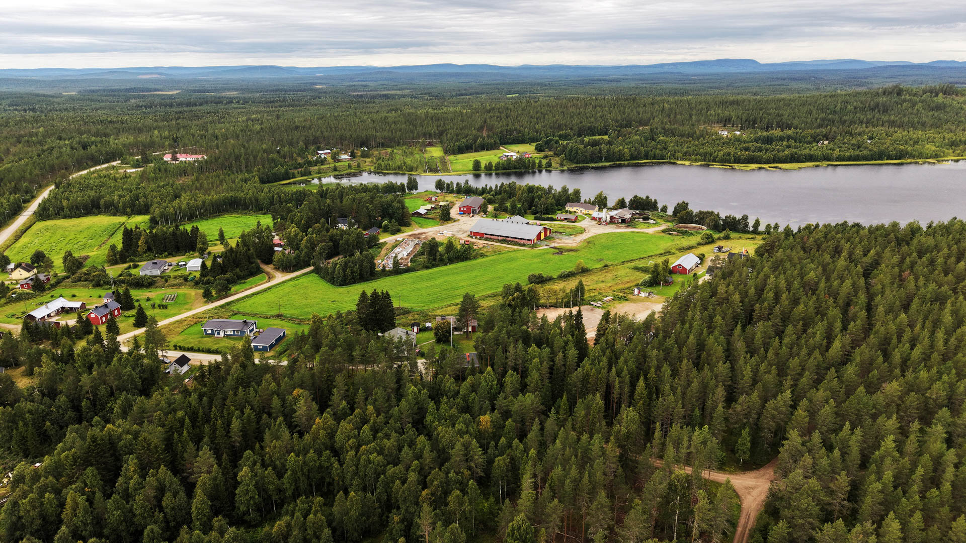 Metsä ja tila ilmasta nähtynä